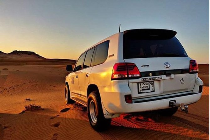 Arabian Desert Experience In Dubai - Camel riding and sand boarding