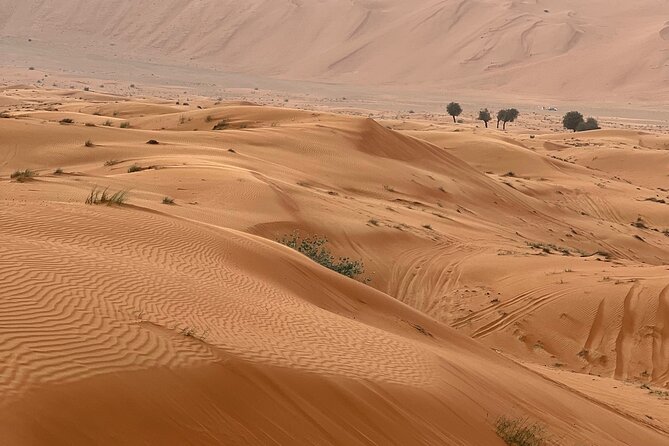 Arabian Dune Buggy Adventure - Morning or evening: choosing the better departure