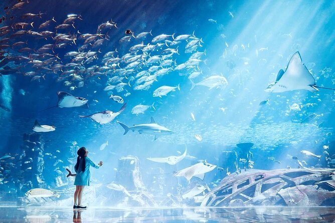 Atlantis Lost-Chamber Aquarium Dubai - What the Lost Chambers experience is really like