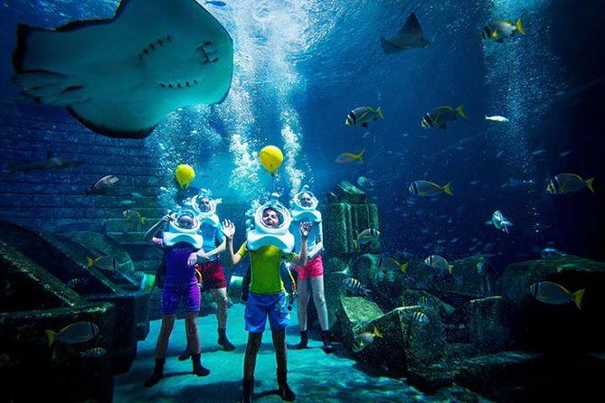Atlantis Lost-Chamber Aquarium Dubai - Who will enjoy it most?