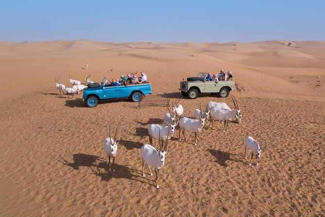 Authentic Safari in Vintage Land Rover with Traditional Dinner - Music, Yola, Drumming, and Shisha