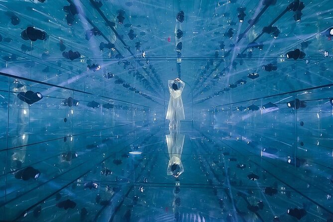 AYA Universe Experience in Dubai - Is $45.47 a fair price?