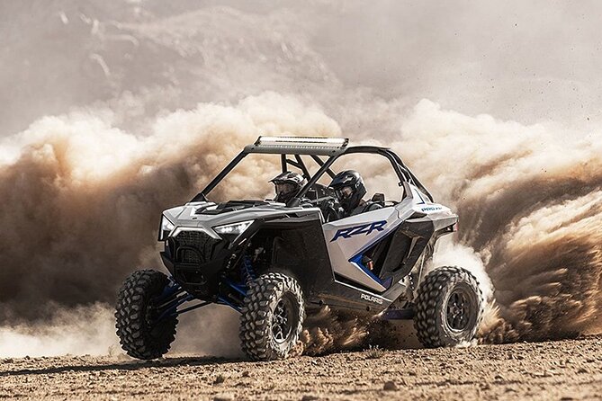 Buggy Ride Dubai & Dubai Desert Safari & Camel Ride with pickup - Cancellation and booking advice
