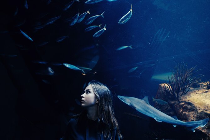 Burj Khalifa and Dubai Aquarium Combo Entrance Ticket - What you see at the Underwater Zoo