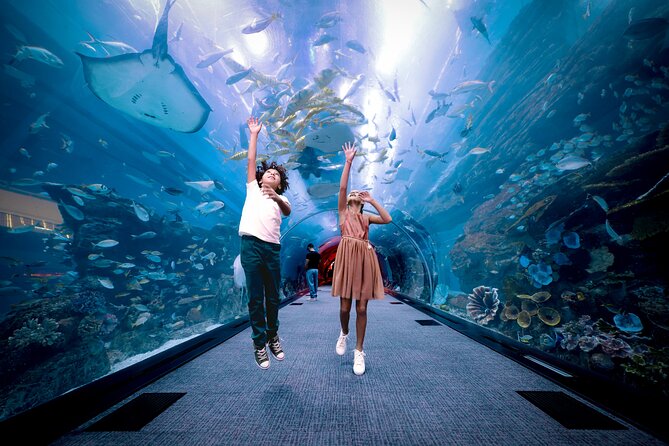 Burj Khalifa At the Top & Dubai Aquarium Combo Entrance Tickets - Is the aquarium combo good value at $91?