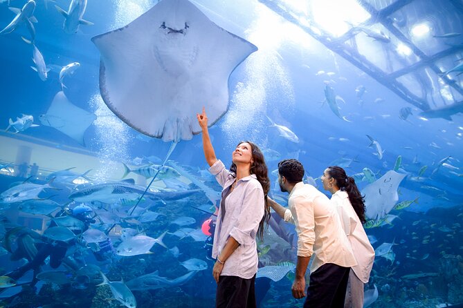 Burj Khalifa At the Top & Dubai Aquarium Combo Entrance Tickets - Best timing for a smoother day