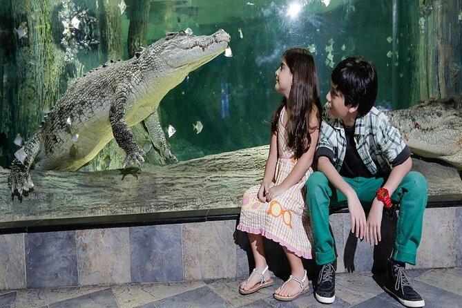 Burj Khalifa At The Top & Underwater Zoo Aquarium with Transfer - Private pickup makes the price easier to judge