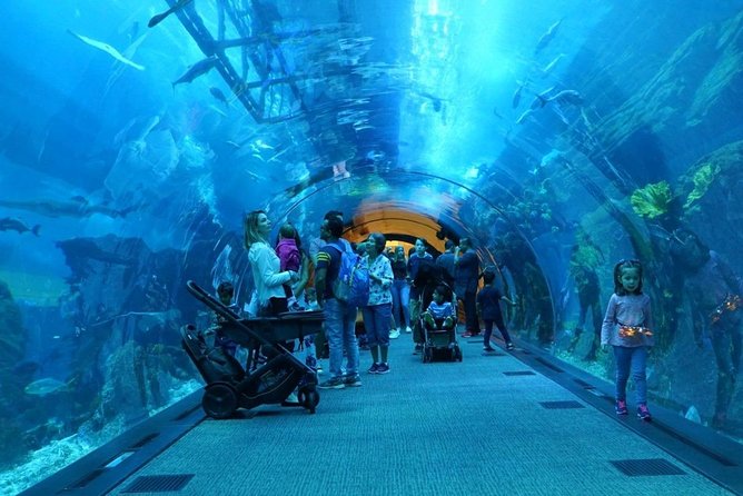Burj Khalifa, Dubai Aquarium & UWZ with Penguin Cove Entry Ticket - How to Plan the Three Hours