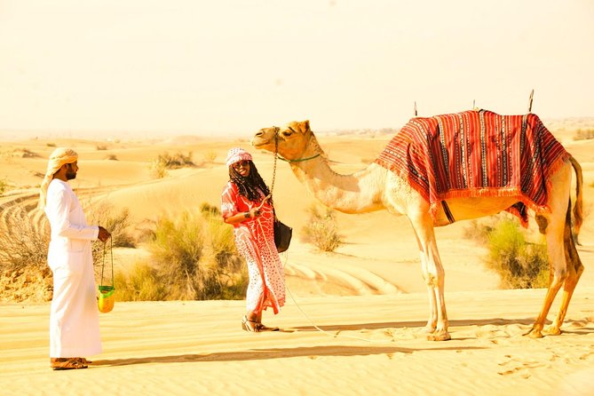 Camel Trekking and Morning Safari with Sand Boarding - Key points to know before booking