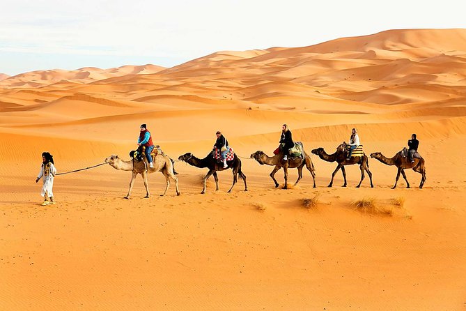 Camel Trekking Dubai with Dune Bashing and Sand Boarding - Why the 7:00 am start matters