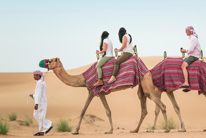 Camel Trekking Dubai with Dune Bashing and Sand Boarding - One hour on a camel gives the desert a slower rhythm