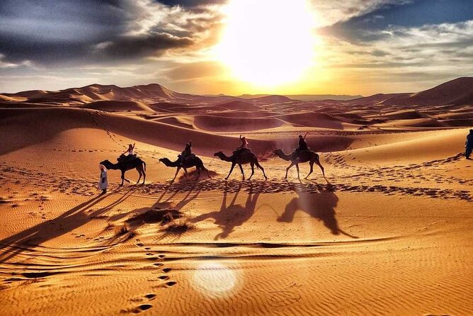 Camel Trekking Dubai with Dune Bashing and Sand Boarding - Hotel pickup makes the morning easier