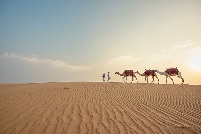 Caravanserai Exclusive Safari - The 4x4 ride across the Arabian Desert