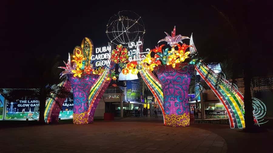 City of Lights: Dubai Night Experience - Key points to know before you go