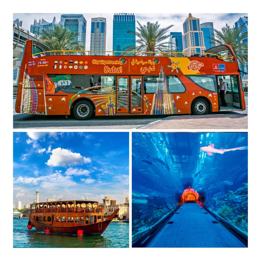 City Sightseeing Dubai Hop-On Hop-Off Bus Tour & Dhow Cruise - Taking the Blue Route to the Palm and Marina