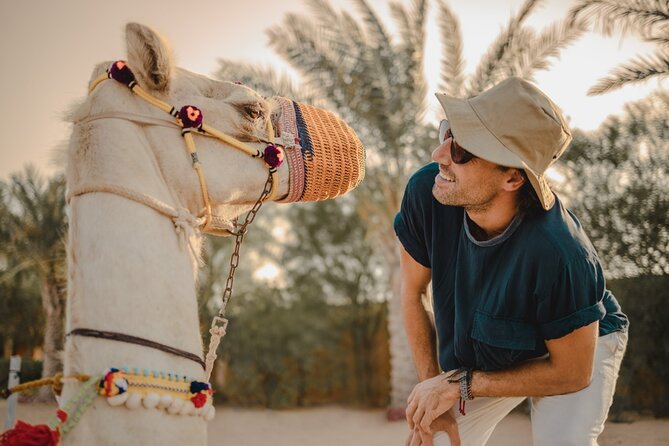 Combo:Deluxe Desert Safari with dinner + ATV self-drive/Quad Bike - Timing, group size, and practical comfort