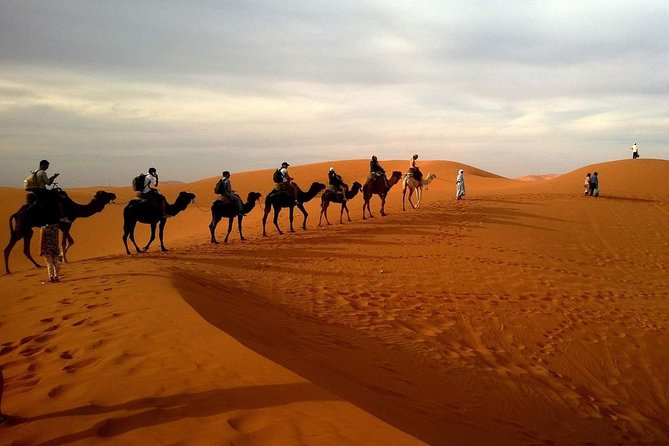 Combo Dubai City Tour and 4X4 Desert Safari with Dinner - One day, two very different Dubais