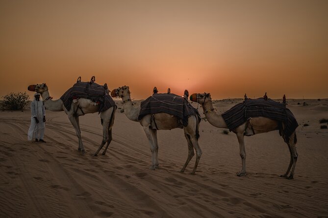 Combo:Private Desert Safari + dinner & ATV Self-drive/Quad Bike - From Dubai streets to the Red Dunes
