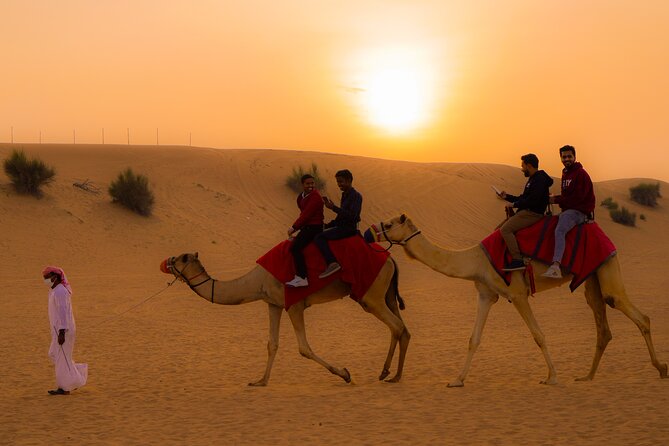Combo tour- Dubai city tour & Evening Desert safari - From the Gold Souk to Zabeel Palace