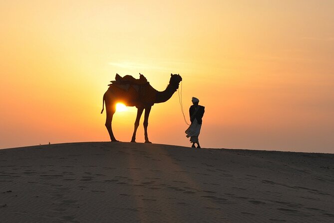 Deluxe Dubai Desert Safari with BBQ Dinner - Camel Riding and Sandboarding