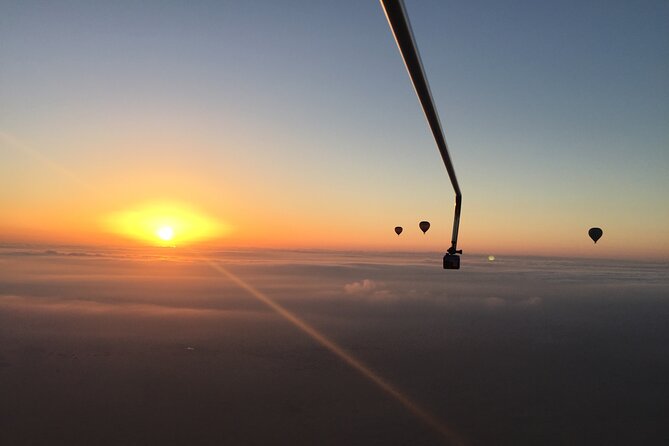 Deluxe Hot Air Balloon Ride with Breakfast & Flight Falcon Show - The falcon show, from the basket to the ground