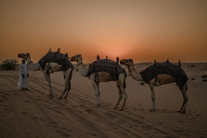 Deluxe Sunset Desert Safari: SandSurfing, Camel Ride & BBQ dinner - Sandboarding and the best sunset photographs