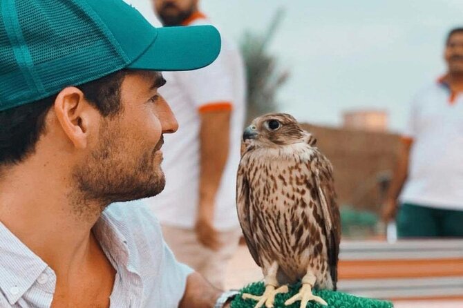 Deluxe Sunset Desert Safari: SandSurfing, Camel Ride & BBQ dinner - A short camel ride and falcon photograph
