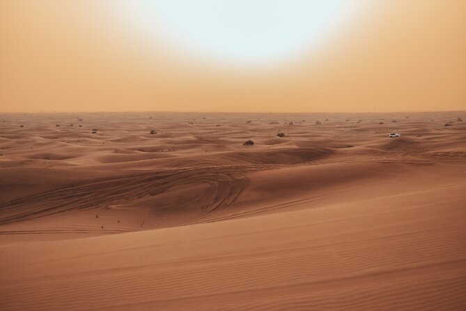 Deluxe Sunset Desert Safari: SandSurfing, Camel Ride & BBQ dinner - Thirty minutes on the Red Dunes
