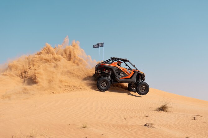 Desert Buggy Tours in Dubai - Photo stops, wildlife, and sandboarding