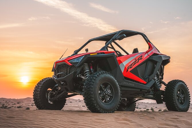 Desert Buggy Tours in Dubai - Who will enjoy this most?