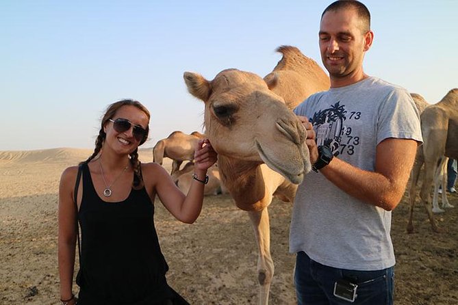Desert Safari Abu Dhabi - BBQ dinner and evening performances
