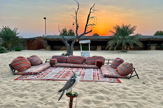 Desert Safari Abu Dhabi w/ Sand Boarding, Camel Ride & BBQ Dinner - BBQ dinner and the evening show