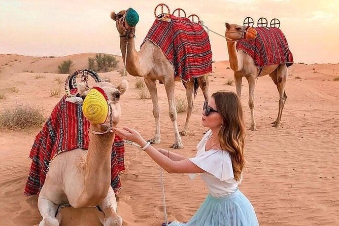 Desert Safari Adventure Dubai - BBQ dinner with enough choice for mixed appetites