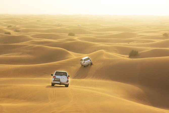 Desert Safari Adventure Hotel Transfer Camel Ride with Quadbike - Key points at a glance