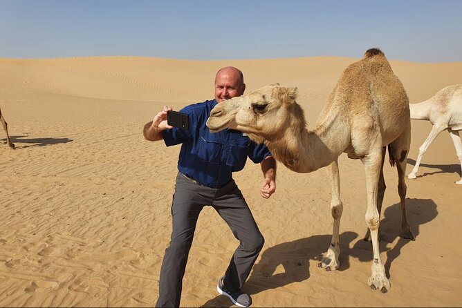 Desert Safari BBQ dinner, Camel ride & sandboarding from Dubai - A quiet camel ride across the sand