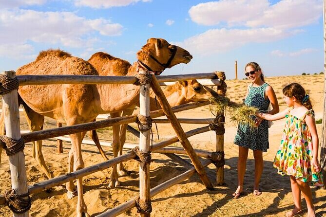 Desert Safari Dubai 30 Mins Quad Bike, Sand Board, Camel Ride BBQ - Guides can shape the day