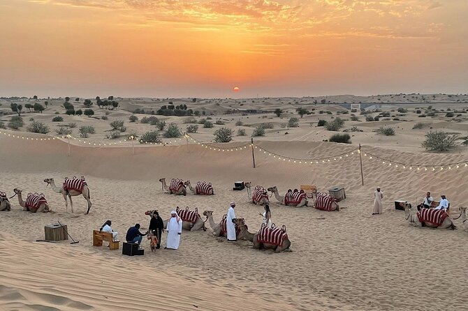 Desert Safari Dubai Experience with Dinner - The 2:00 pm pickup and shared Land Cruiser