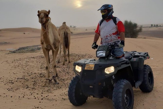 Desert Safari Dubai (PREMIUM VIP) - Why this safari works for a first Dubai desert outing