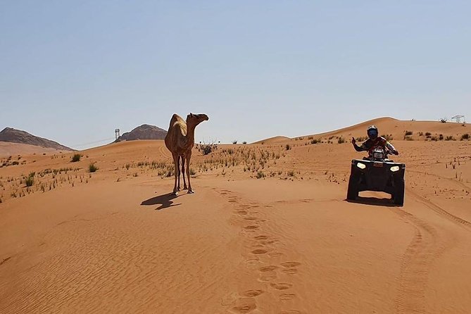 Desert Safari Dubai (PREMIUM VIP) - BBQ dinner, VIP seating, and live shows