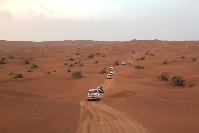 Desert Safari Dubai & Quad Bike with Dinner - A full day in the Dubai desert