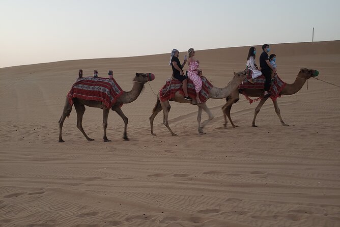 Desert Safari Dubai with Buffet Dinner & 3 live shows - Why this safari works for a first Dubai desert outing