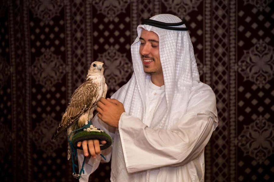 Desert Safari Dubai with Camel Ride, Sandboarding & Dinner - Is $27 good value?