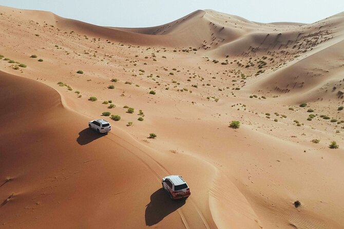 Desert Safari Dubai with Dune Bashing, Activities and Dinner - Quick points before you book