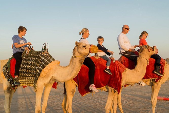 Desert Safari Dubai With Quad Bike ,camel Ride, bbq Dinner, Live Show's - A camel farm, sunset, and the slower side of the desert