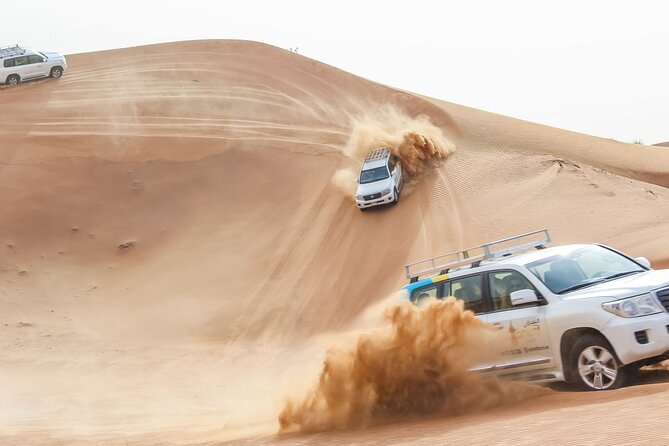 Desert Safari Experience with Dune Bashing and Dinner in Dubai - The camel farm and falcon show