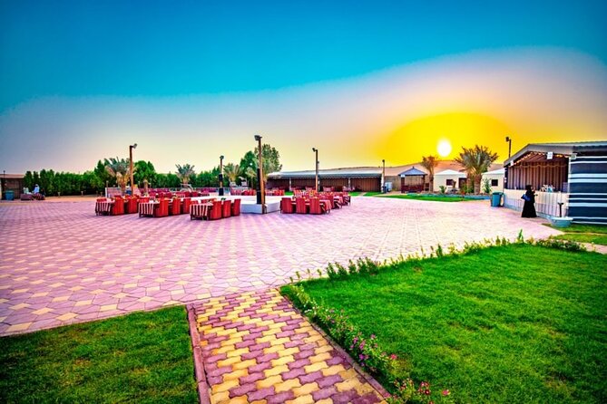 Desert Safari in 4x4 Car with BBQ Dinner and Belly Dance - BBQ Dinner and Unlimited Soft Drinks