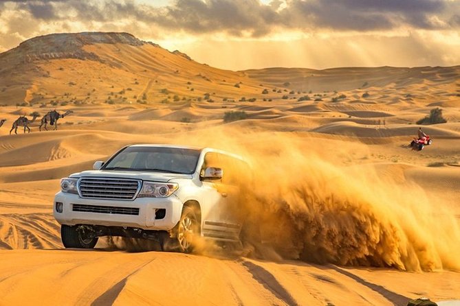 Desert Safari Morning with Camel Ride and Sand Boarding - Sunrise at the High Dune
