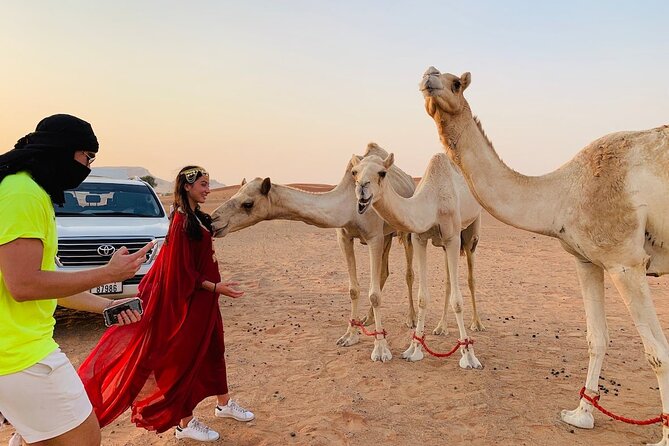 Desert Safari, Open Desert Quad Bike Experience with BBQ Dinner - Who should book this desert safari