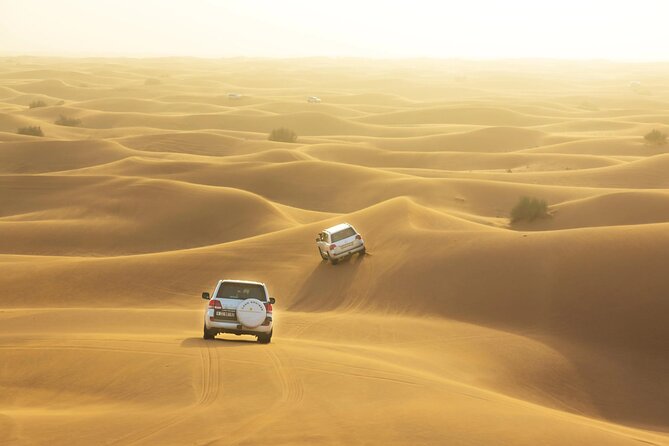 Desert Safari, Quad Biking, Sand Surfing and BBQ Dinner In Dubai - Sandboarding and desert photographs