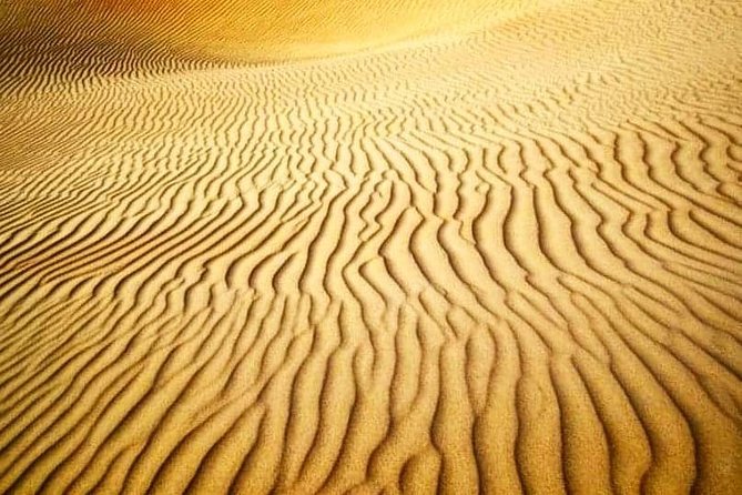 Desert Safari Red Dunes with Camel Ride, Sandboard, BBQ and Shows - Leaving Dubai for the Red Dunes
